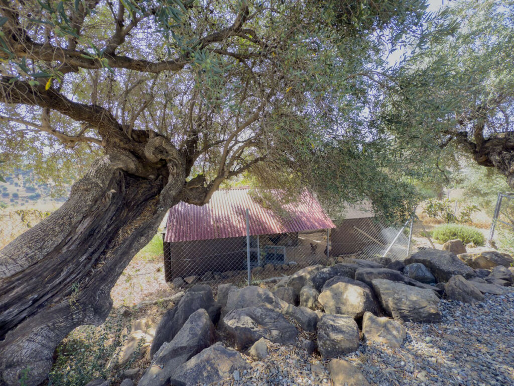 Finca - Cortijo Tolox Málaga - image 41