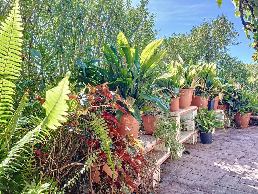 Detached Villa Sedella Málaga - image 43