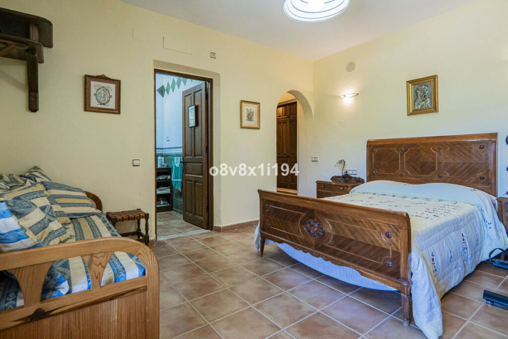Detached Villa Cártama Málaga - image 44