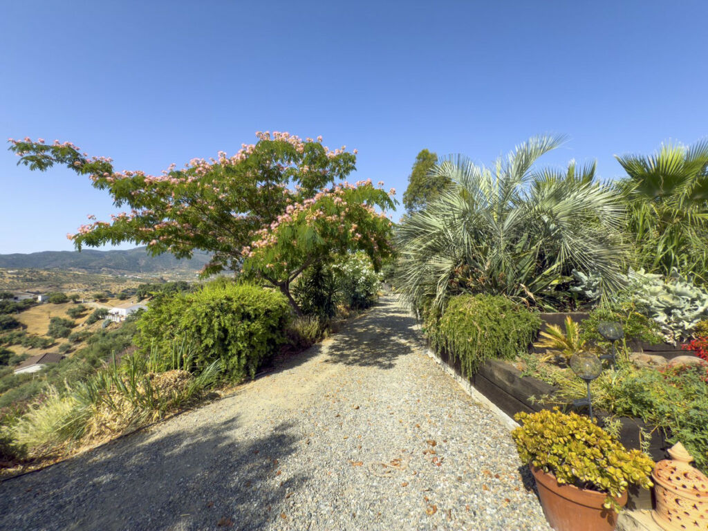 Finca - Cortijo Tolox Málaga - image 44