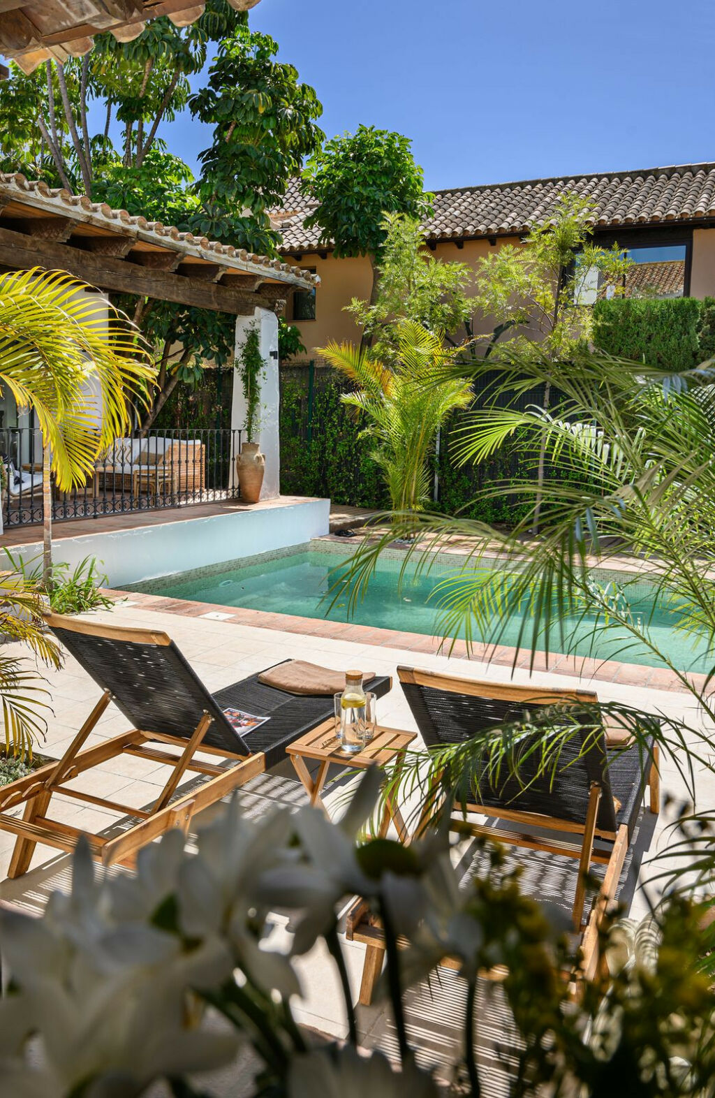 Detached Villa Estepona Málaga - image 44