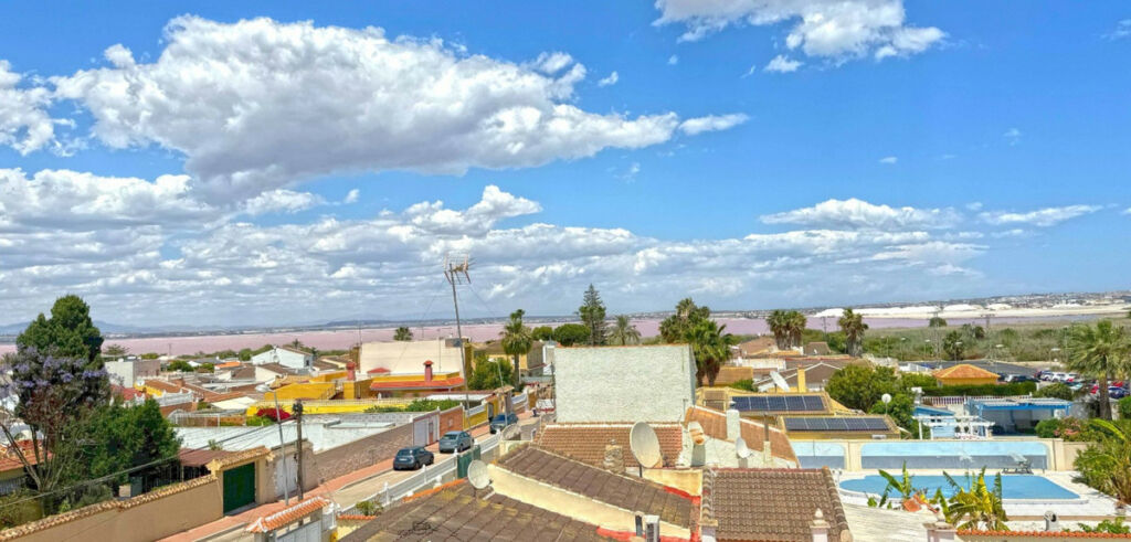 Detached Villa Torrevieja Alicante - image 44