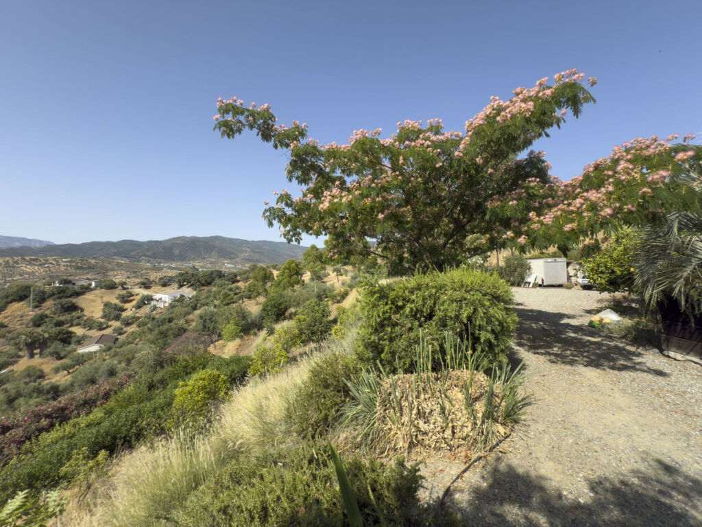 Finca - Cortijo Tolox Málaga - image 45