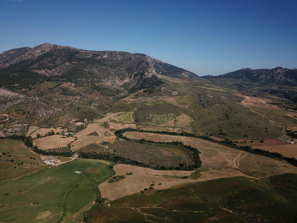 Finca - Cortijo Ardales Málaga - image 46