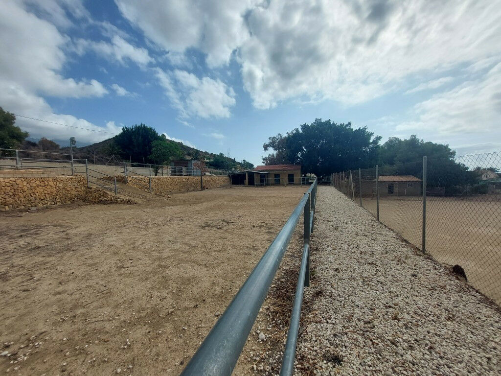 Detached Villa Altea Alicante - image 46