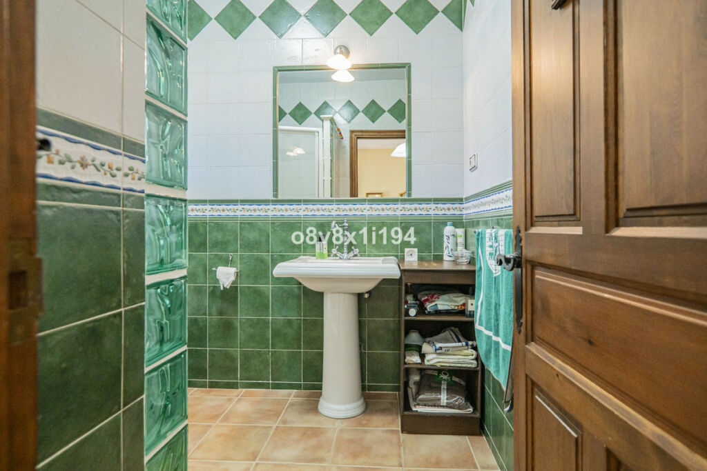 Detached Villa Cártama Málaga - image 46