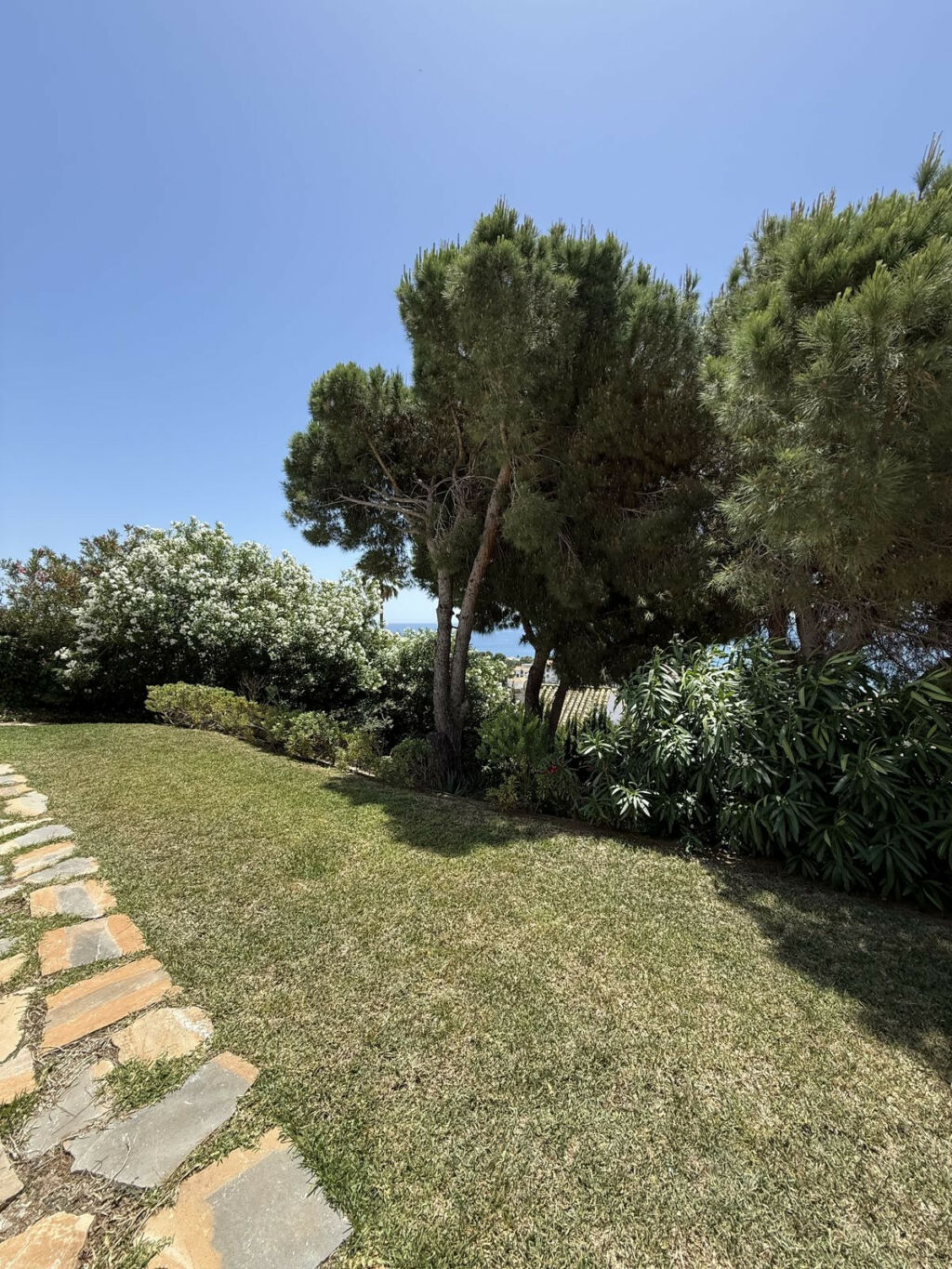 Detached Villa Riviera del Sol Málaga - image 47