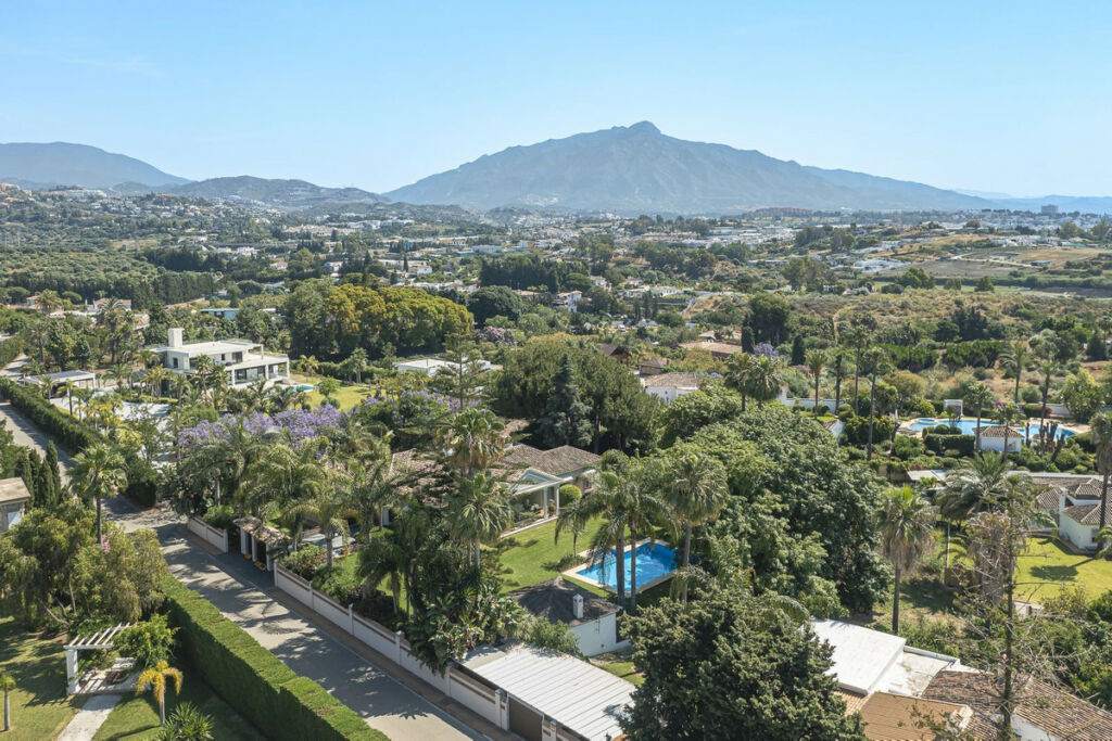 Detached Villa Guadalmina Alta Málaga - image 47