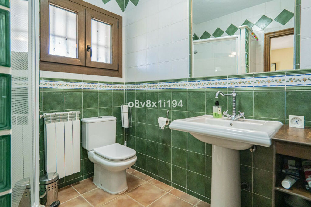 Detached Villa Cártama Málaga - image 47