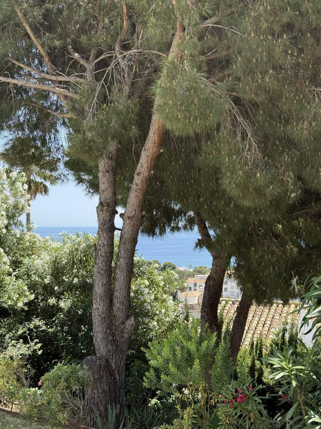 Detached Villa Riviera del Sol Málaga - image 48