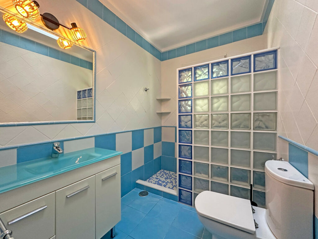 Detached Villa Jalon Alicante - image 48