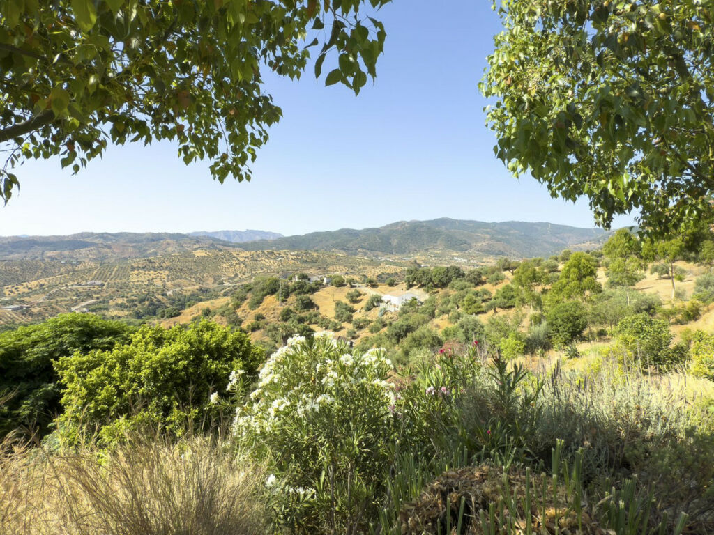 Finca - Cortijo Tolox Málaga - image 48