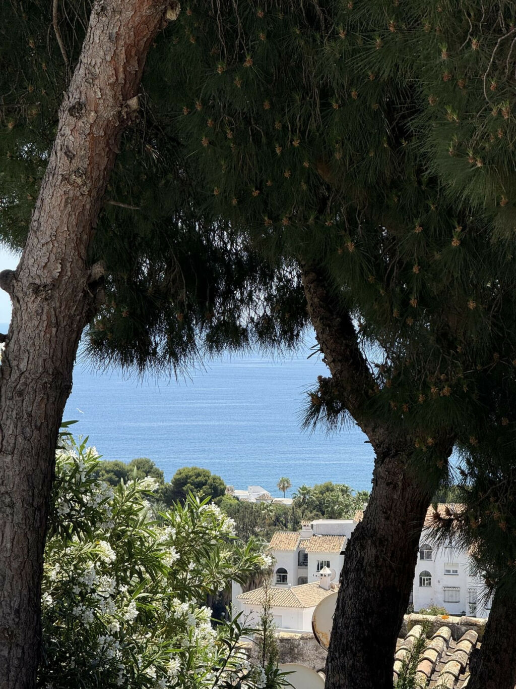 Detached Villa Riviera del Sol Málaga - image 49