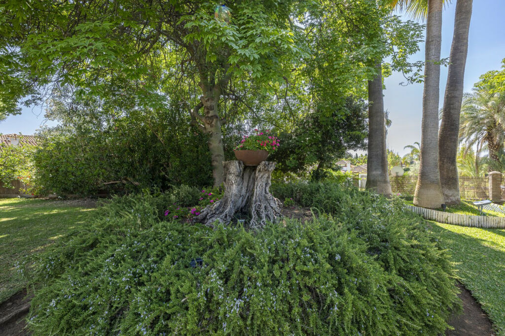 Detached Villa Guadalmina Alta Málaga - image 49