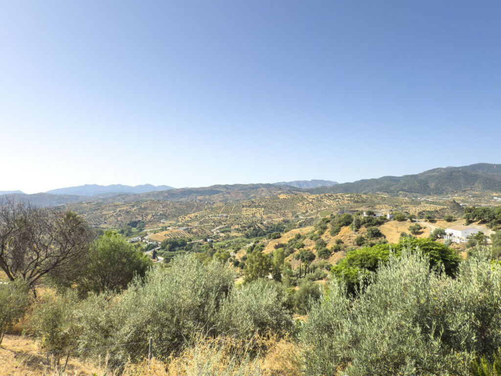 Finca - Cortijo Tolox Málaga - image 49