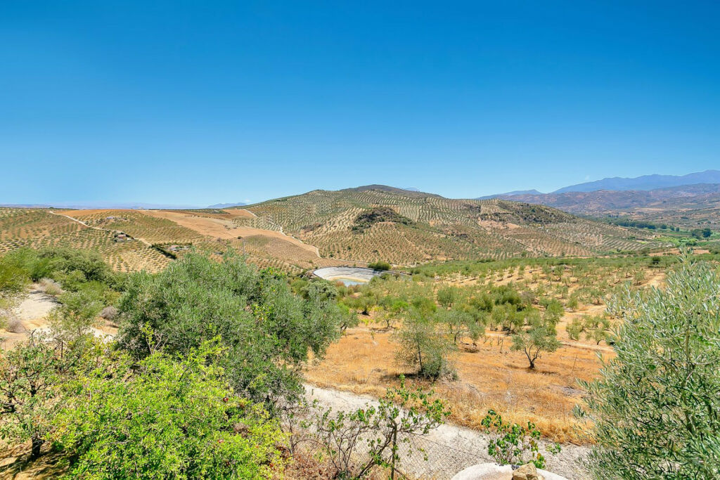 Finca - Cortijo Tolox Málaga - image 6