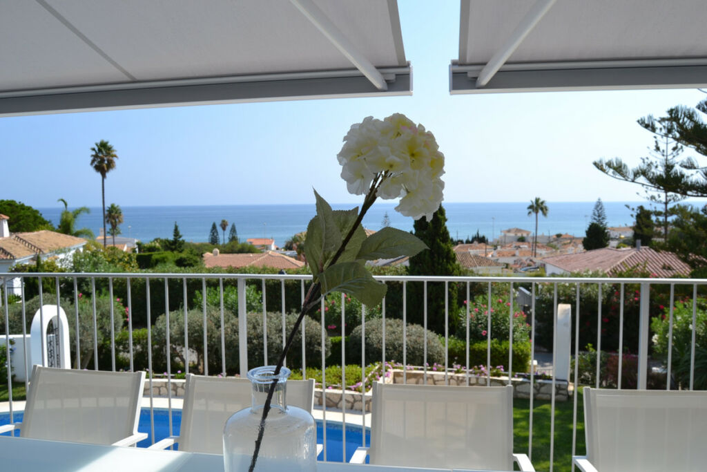 Detached Villa El Chaparral Málaga - image 5