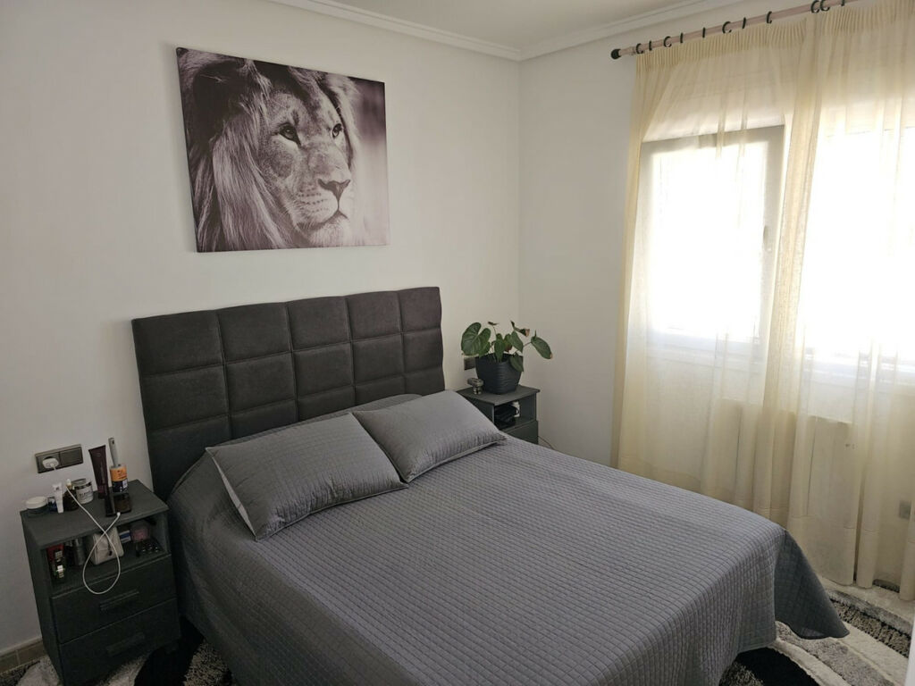 Detached Villa Benijofar Alicante - image 5