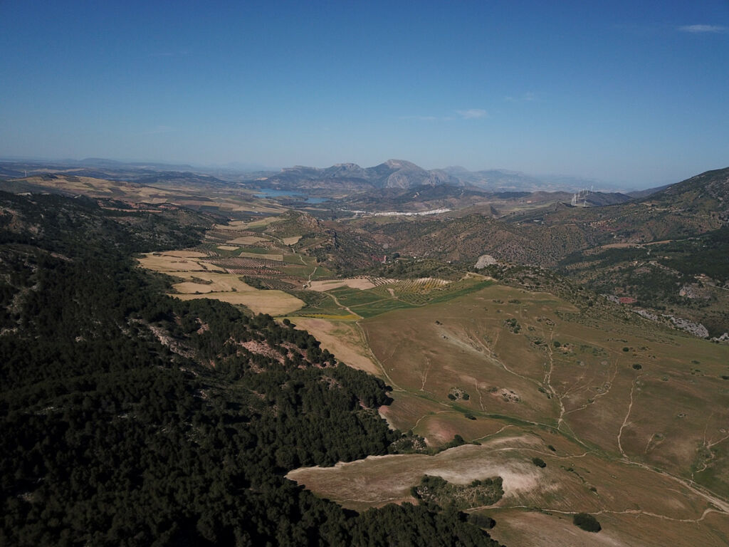 Finca - Cortijo Ardales Málaga - image 50