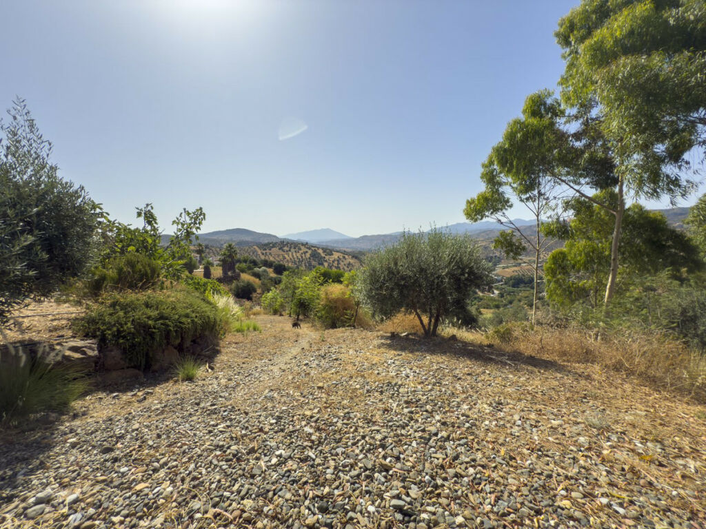 Finca - Cortijo Tolox Málaga - image 50