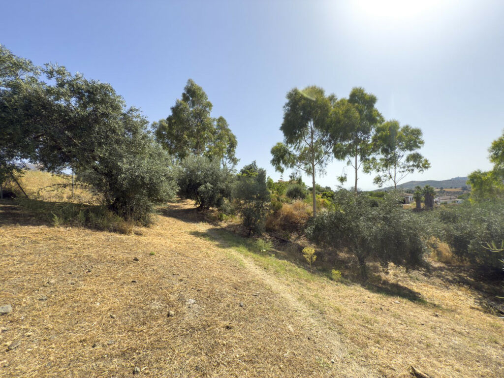 Finca - Cortijo Tolox Málaga - image 51
