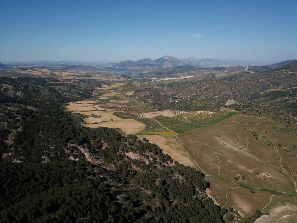 Finca - Cortijo Ardales Málaga - image 51