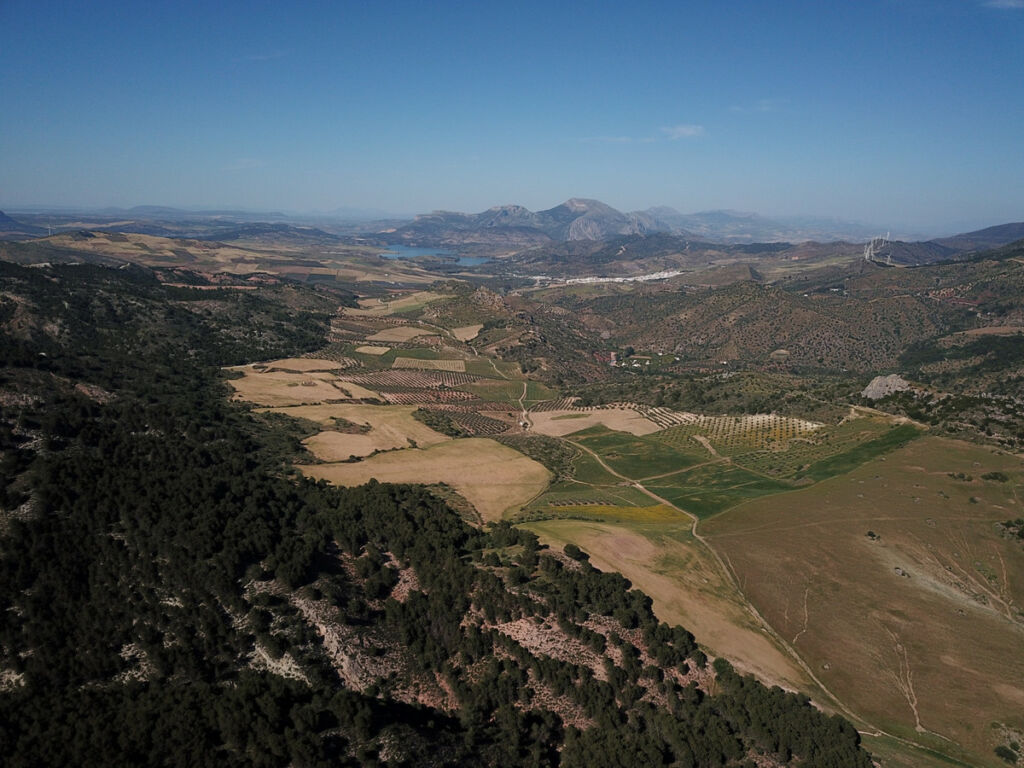 Finca - Cortijo Ardales Málaga - image 52