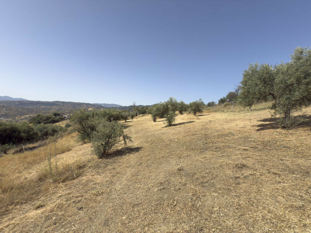 Finca - Cortijo Tolox Málaga - image 52