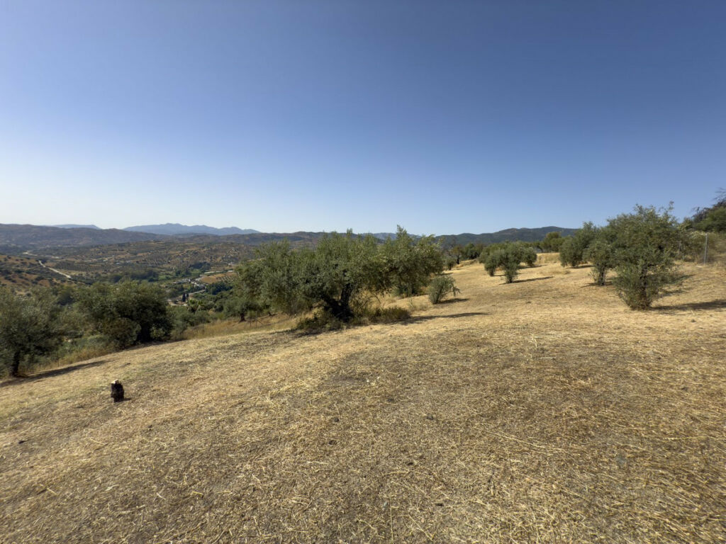 Finca - Cortijo Tolox Málaga - image 53
