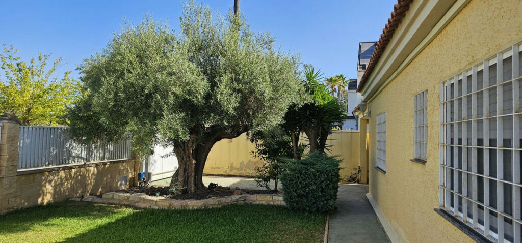 Detached Villa Campoamor Alicante - image 53