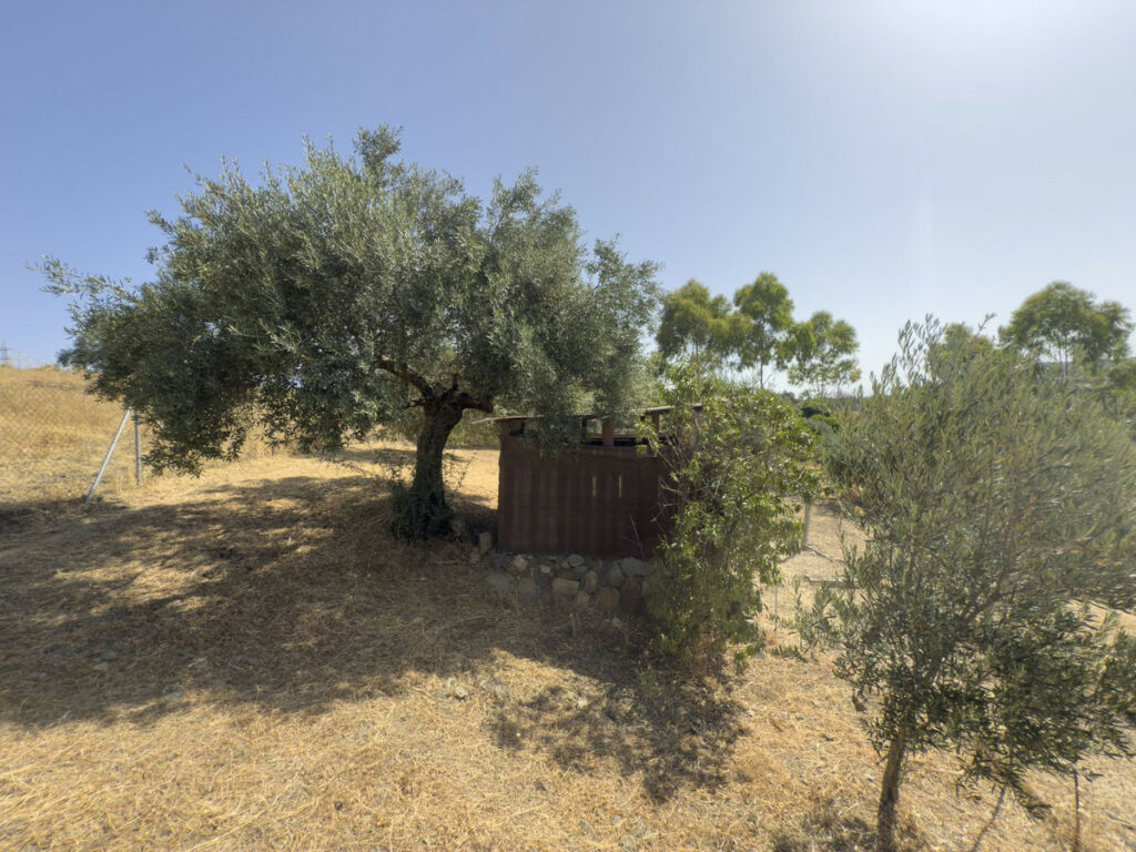 Finca - Cortijo Tolox Málaga - image 54
