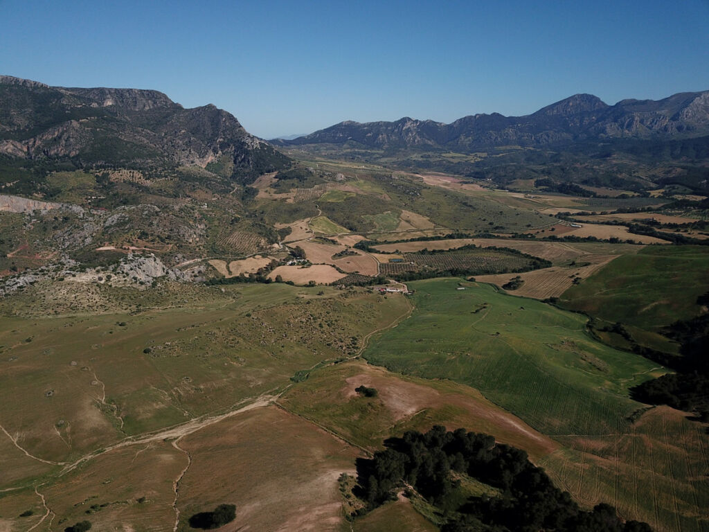 Finca - Cortijo Ardales Málaga - image 55
