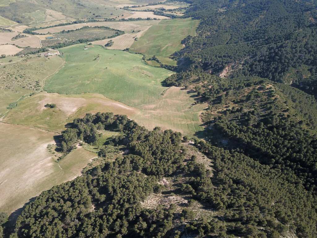 Finca - Cortijo Ardales Málaga - image 57