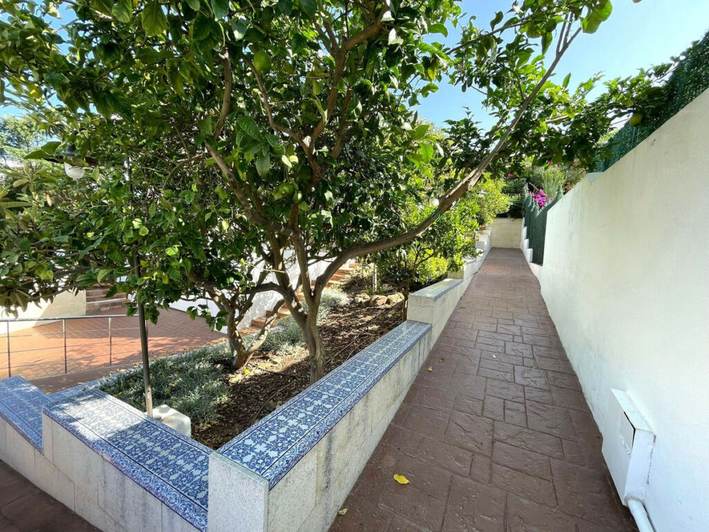 Detached Villa Estepona Málaga - image 58