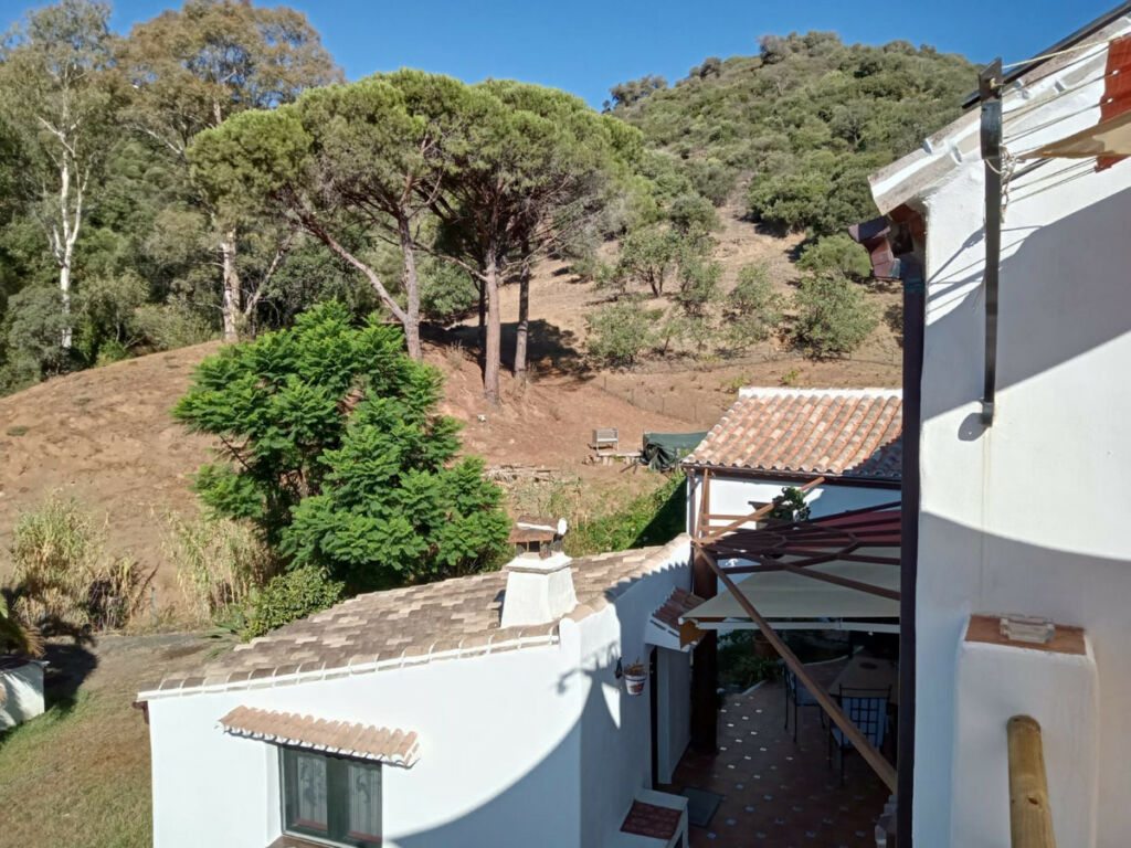 Finca - Cortijo Casares Málaga - image 6