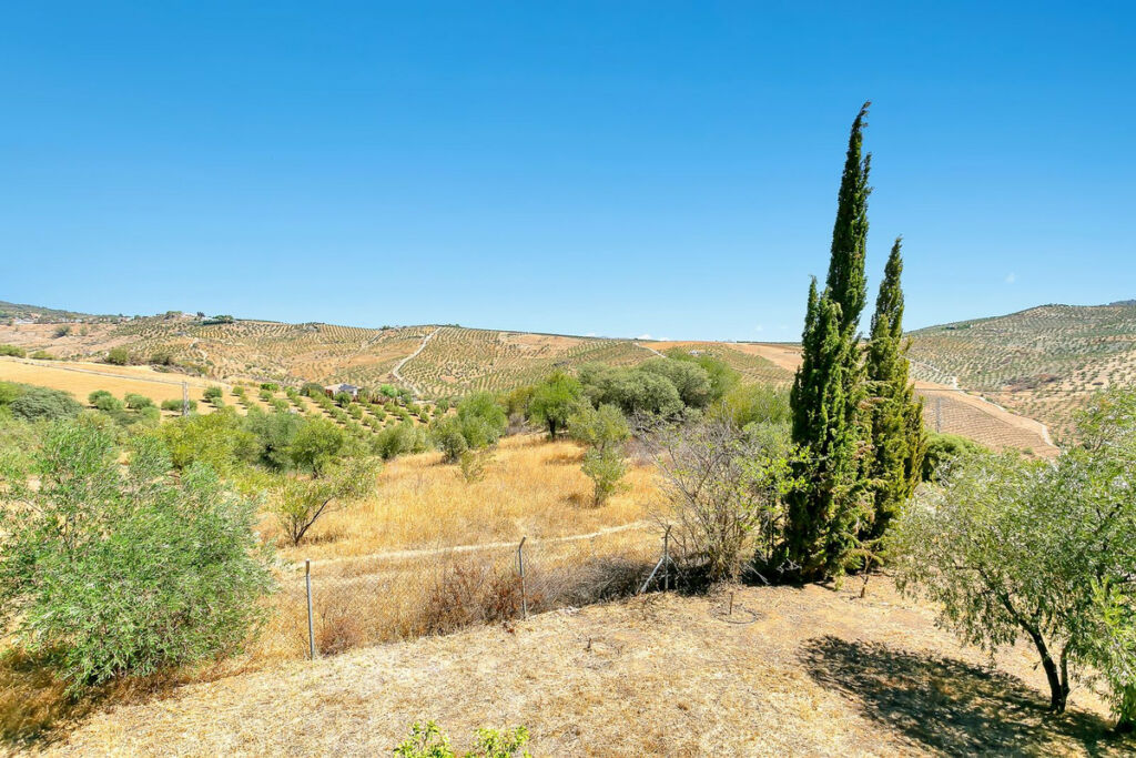 Finca - Cortijo Tolox Málaga - image 7
