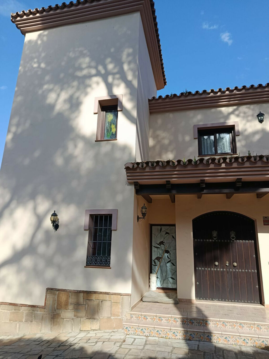 Detached Villa Casares Playa Málaga - image 3