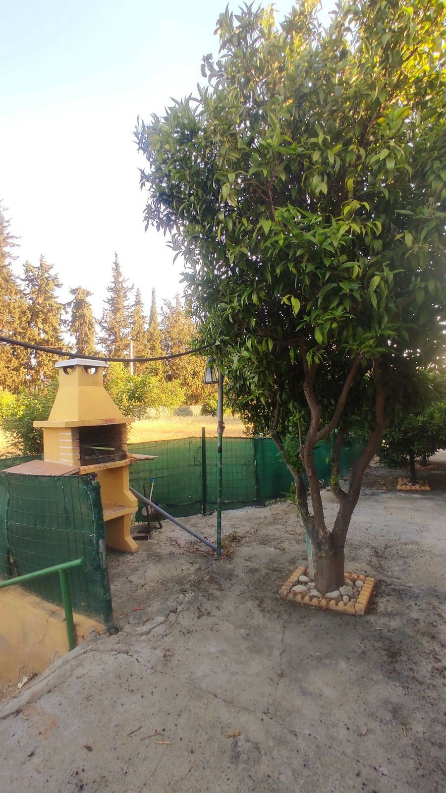 Finca - Cortijo La Cala Málaga - image 6