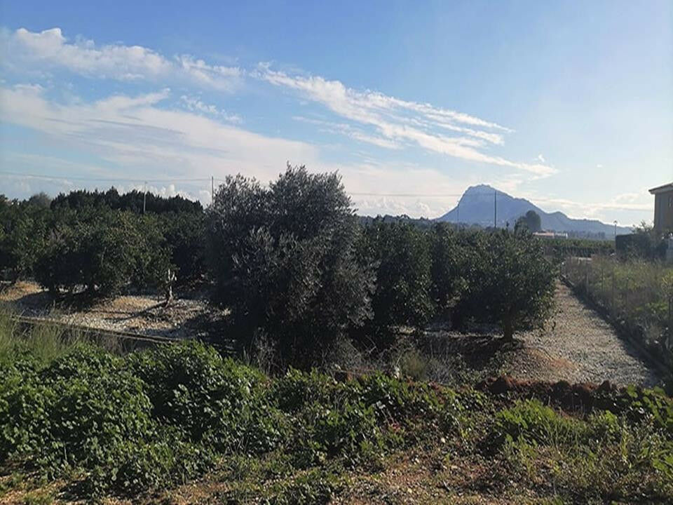 Land El Verger Alicante - image 6