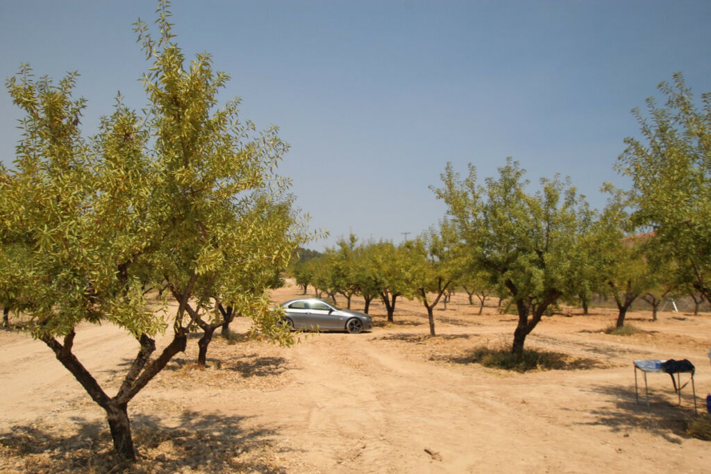 Detached Villa Pinoso Alicante - image 6