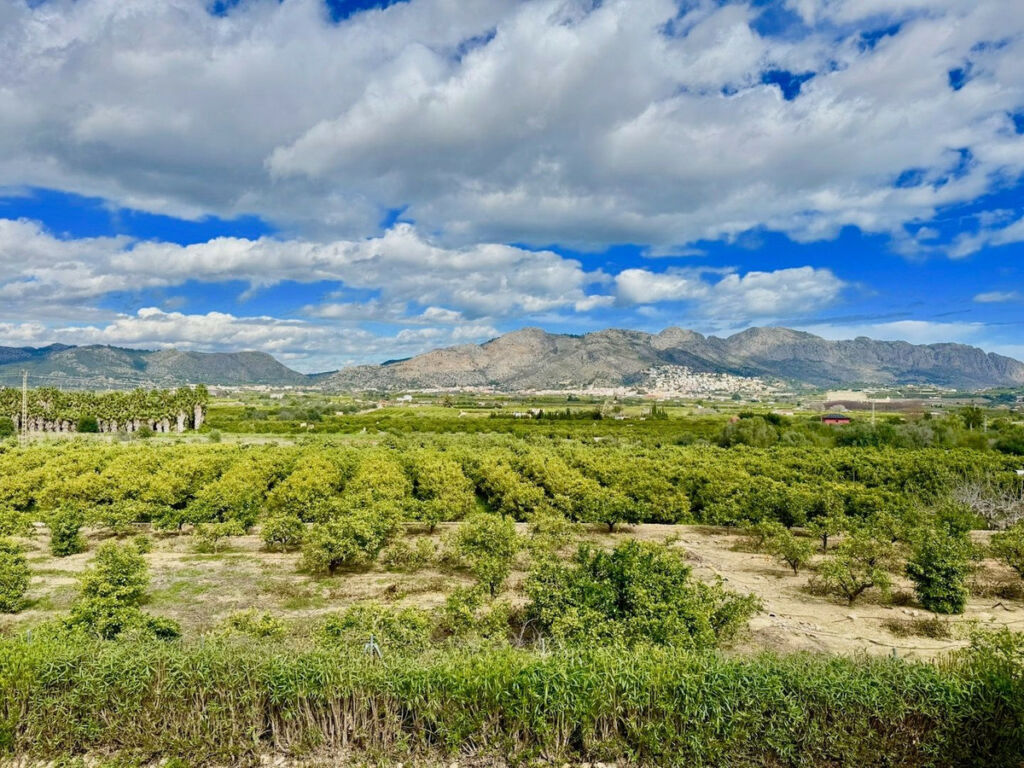 Finca - Cortijo Benidoleig Alicante - image 6