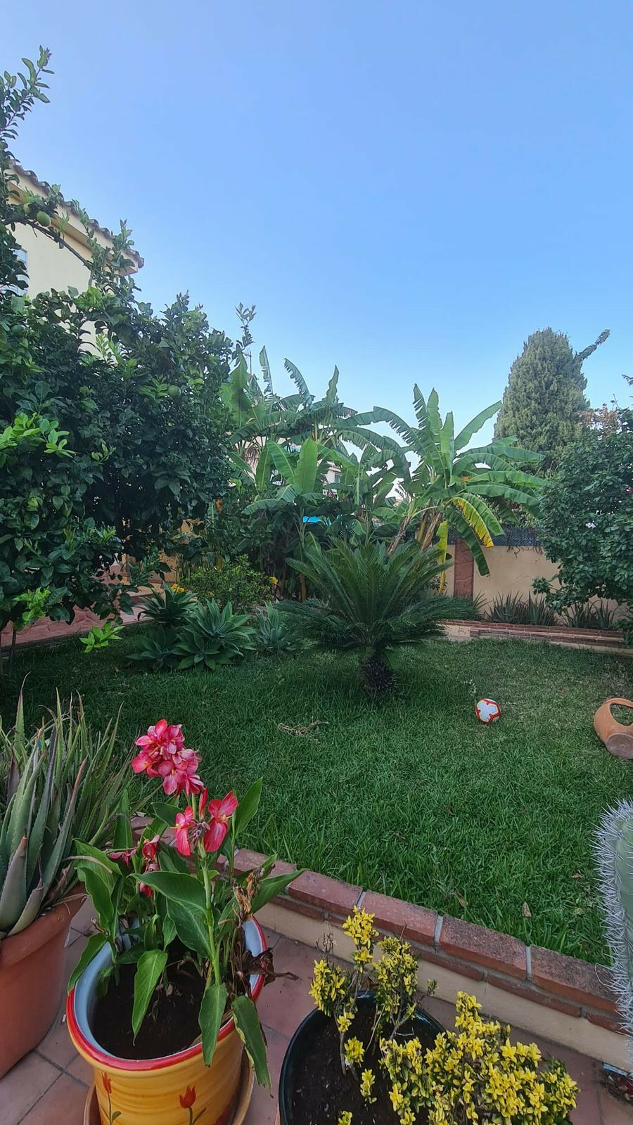 Detached Villa Benalmadena Costa Málaga - image 6