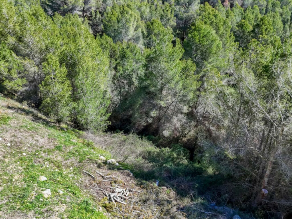 Land Callosa d'en Sarria Alicante - image 6