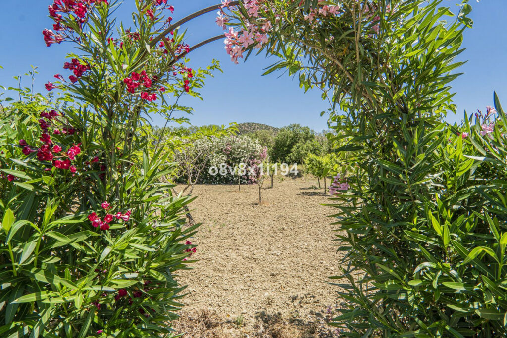 Detached Villa Cártama Málaga - image 61