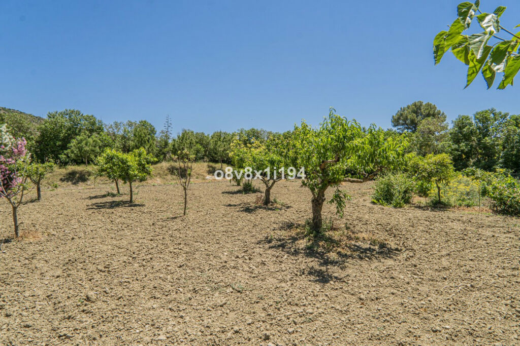 Detached Villa Cártama Málaga - image 62