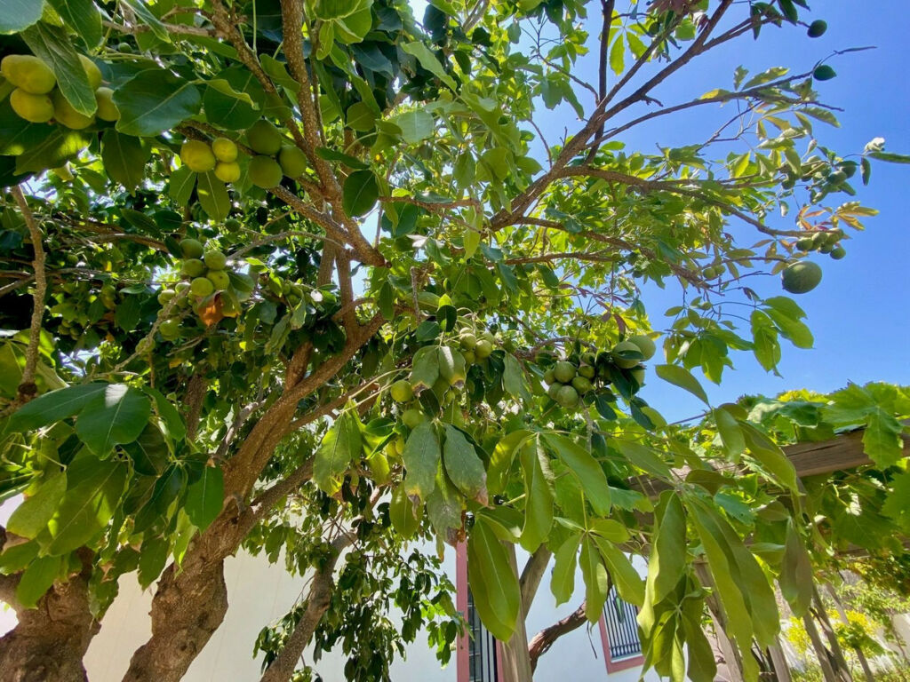 Detached Villa Calahonda Málaga - image 65