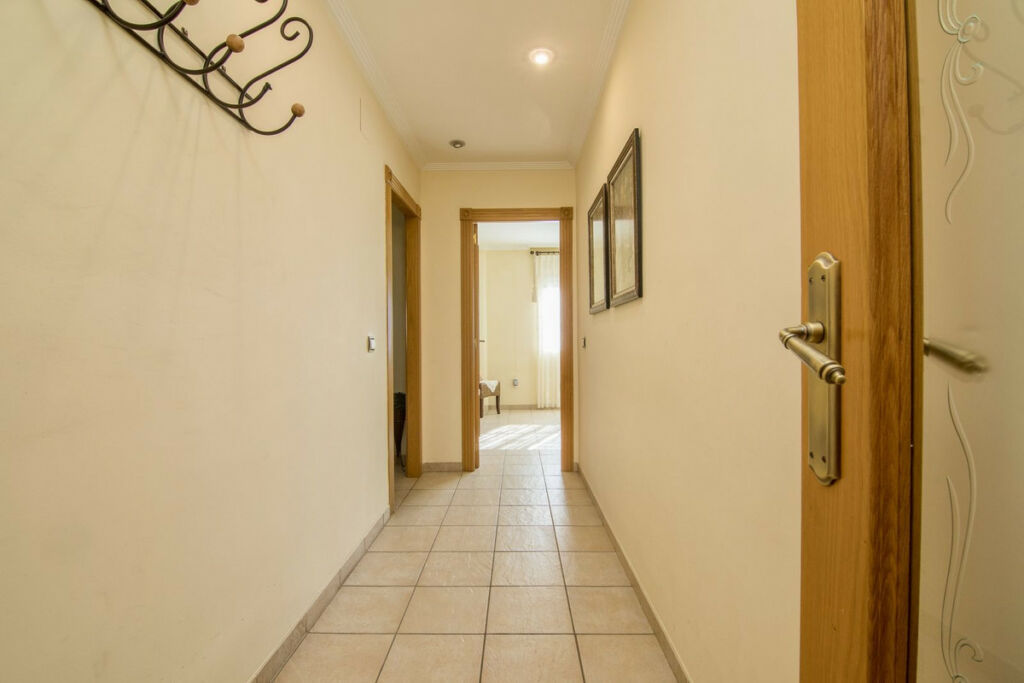 Detached Villa Almoradi Alicante - image 67