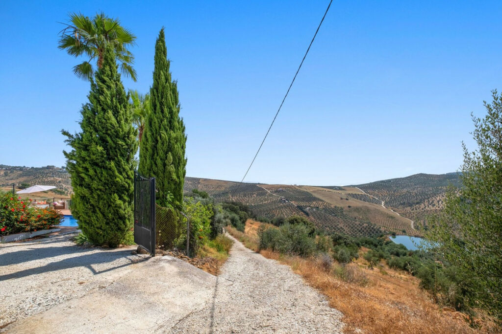 Finca - Cortijo Tolox Málaga - image 8