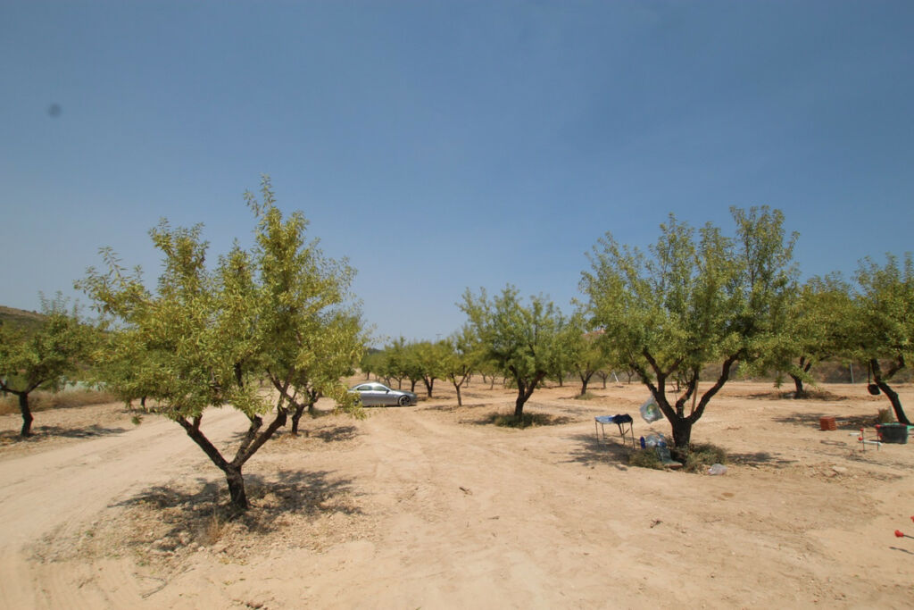 Detached Villa Pinoso Alicante - image 7
