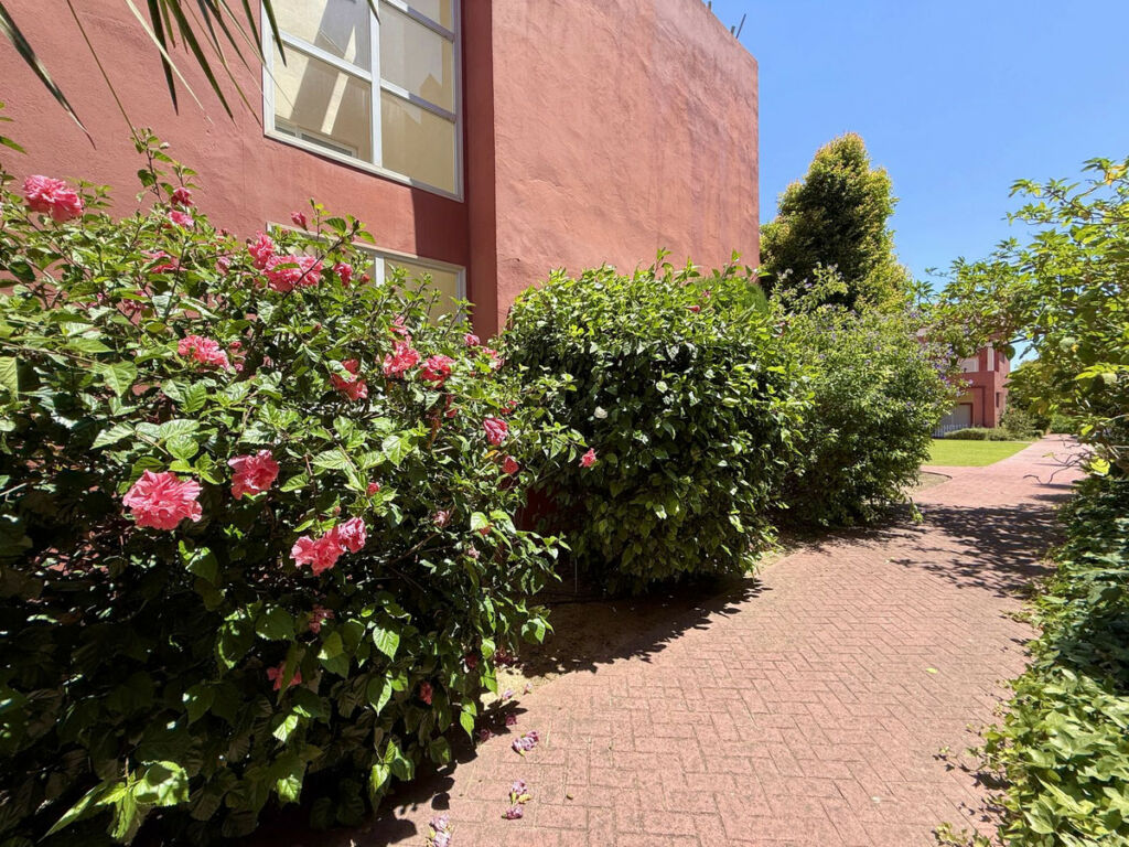 Townhouse Sotogrande Cádiz - image 7